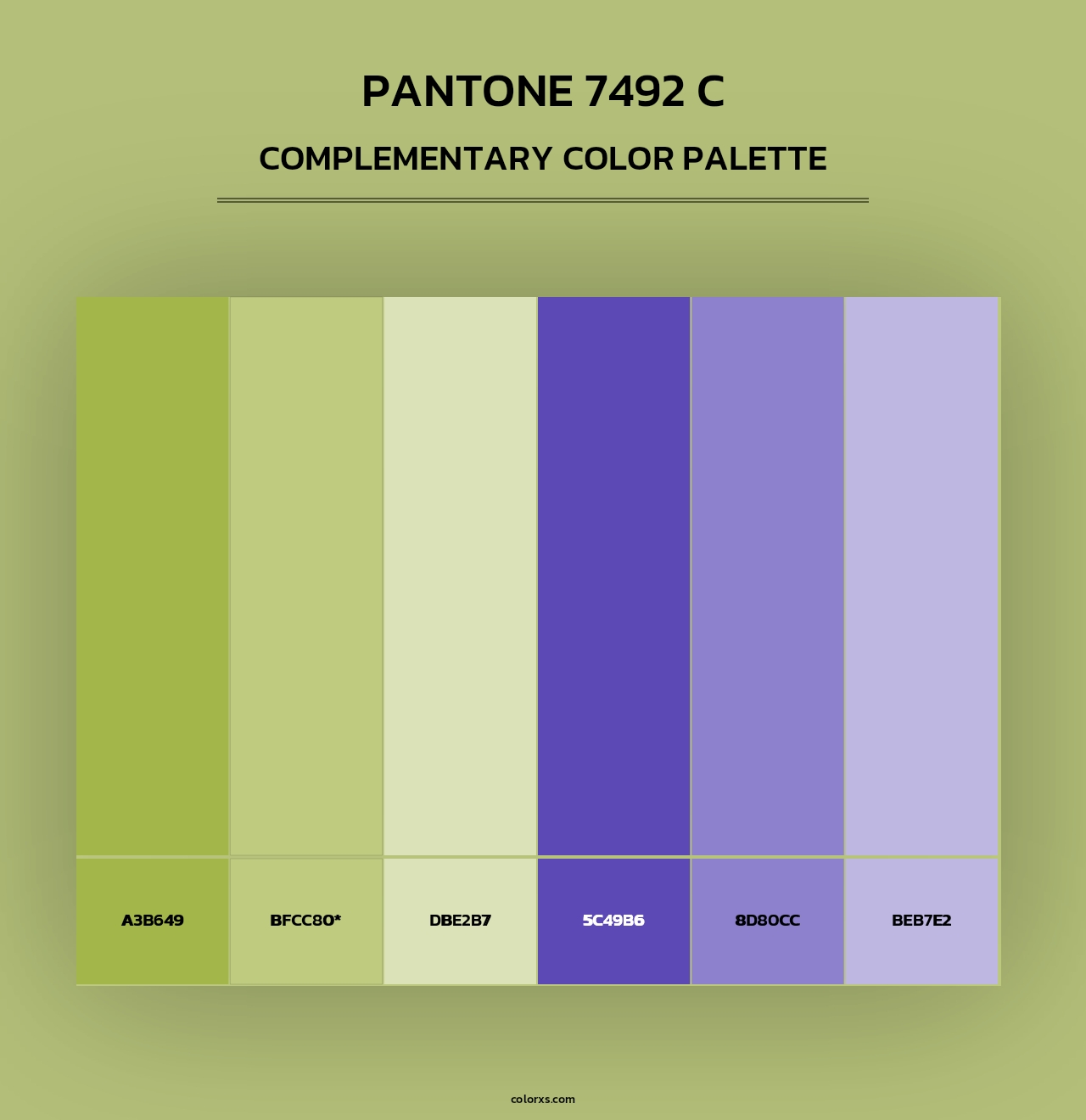 PANTONE 7492 C - Complementary Color Palette