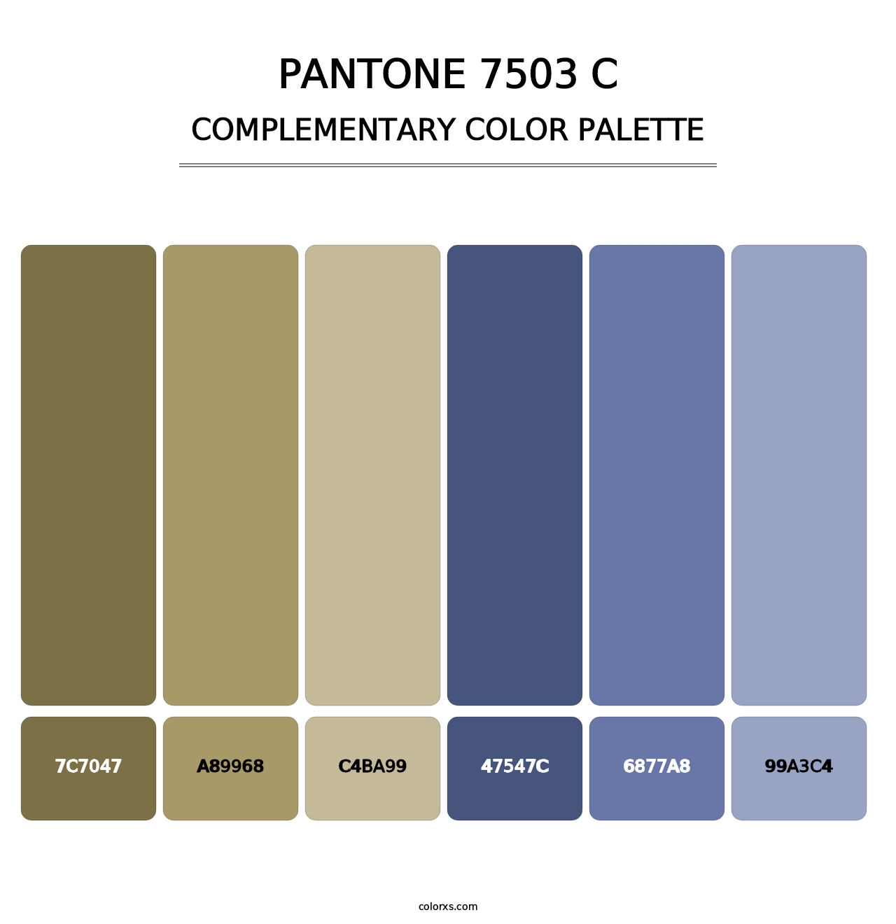 PANTONE 7503 C - Complementary Color Palette