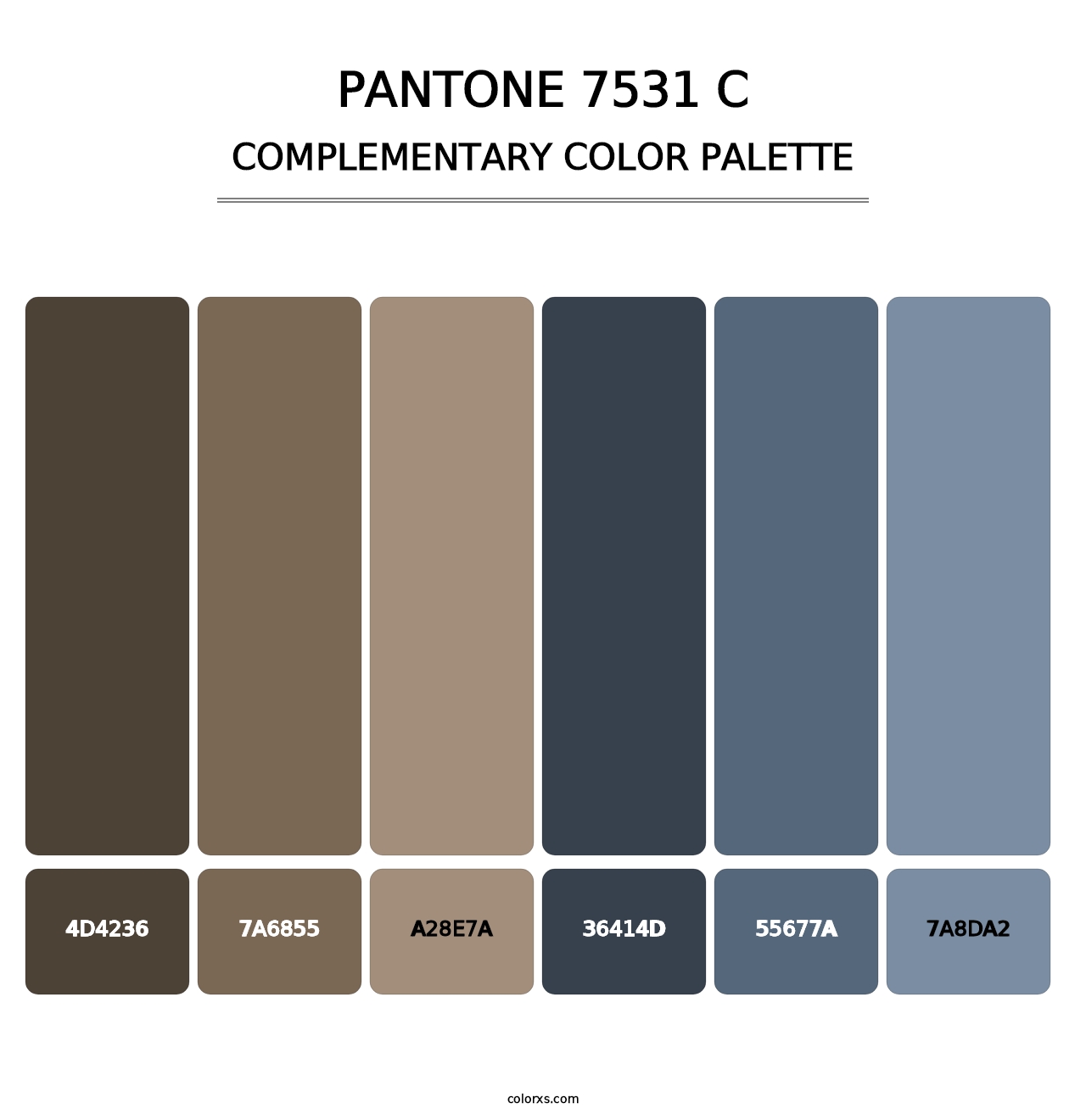 PANTONE 7531 C - Complementary Color Palette