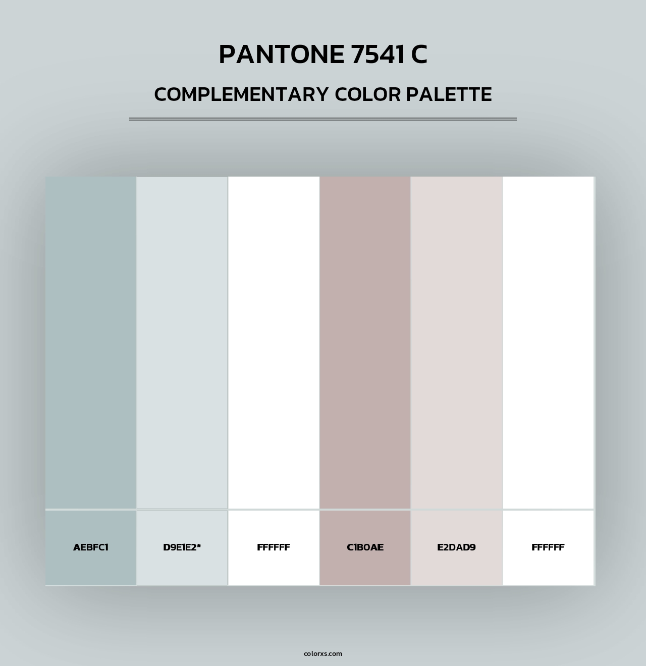PANTONE 7541 C - Complementary Color Palette