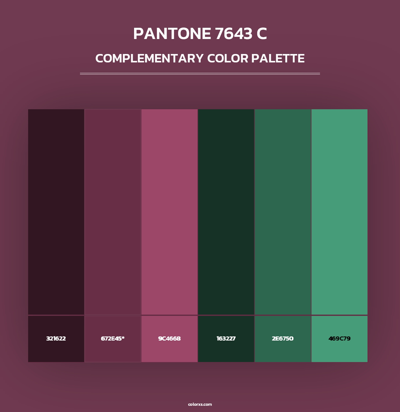 PANTONE 7643 C - Complementary Color Palette
