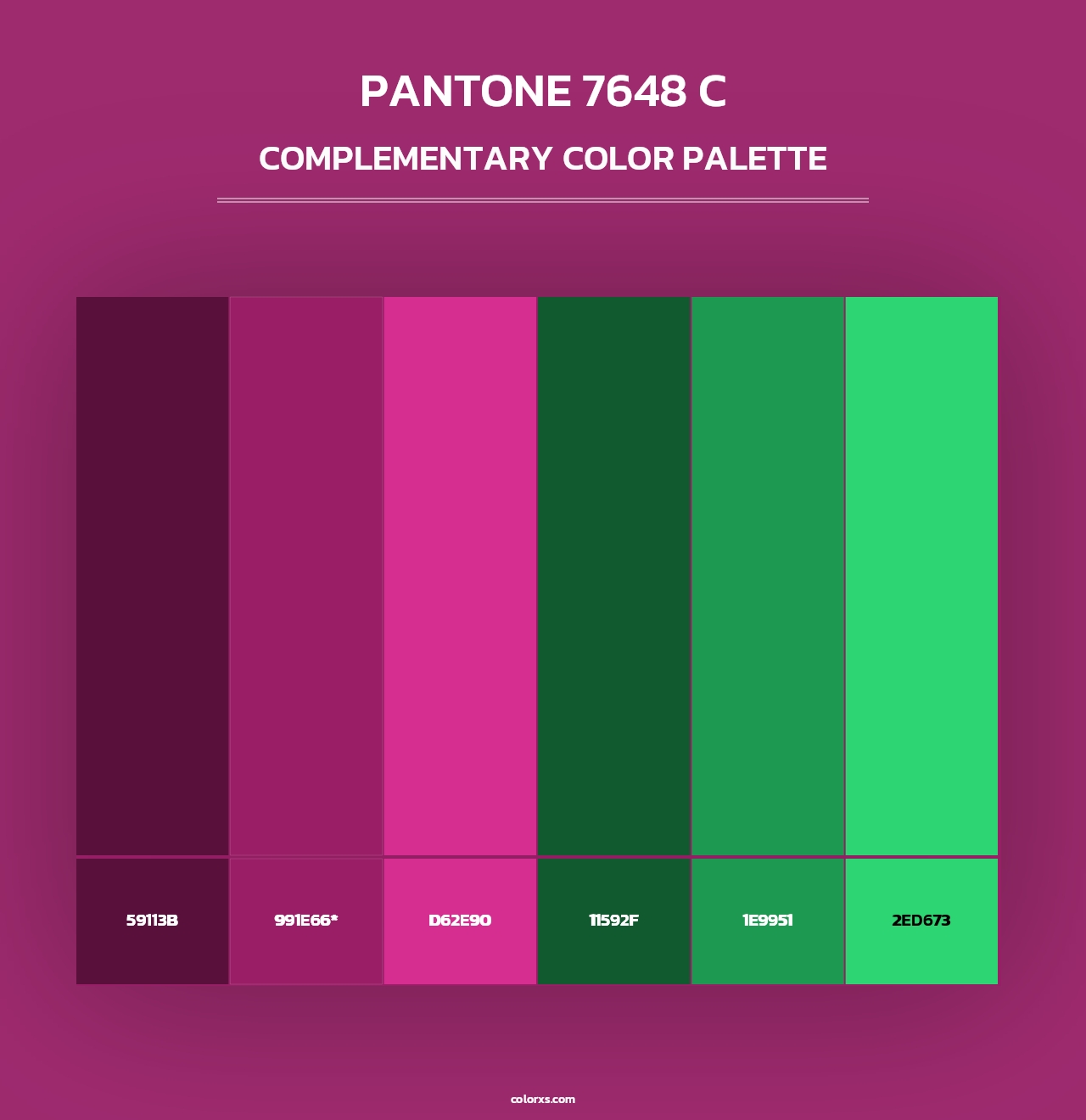 PANTONE 7648 C - Complementary Color Palette