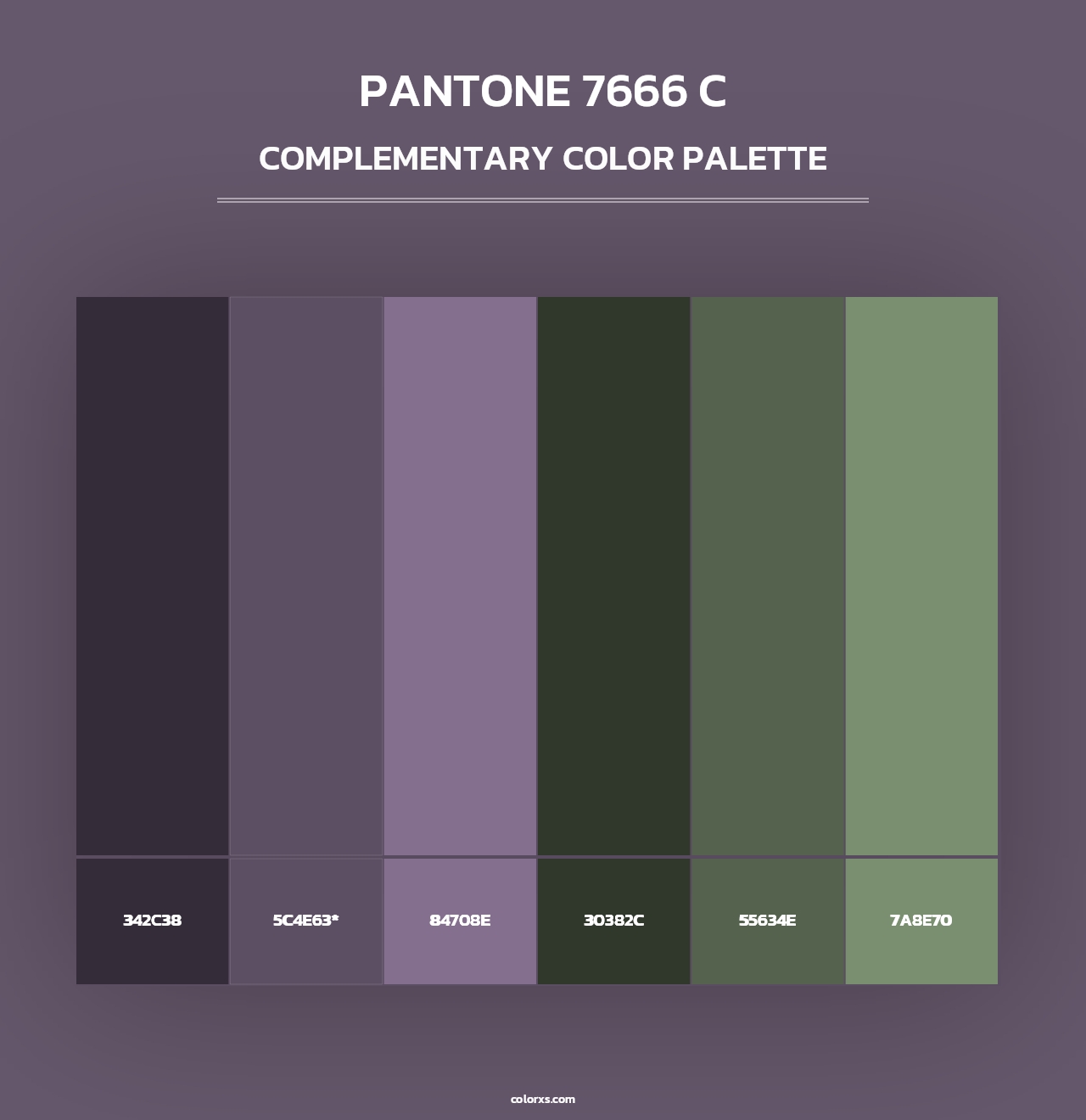 PANTONE 7666 C - Complementary Color Palette