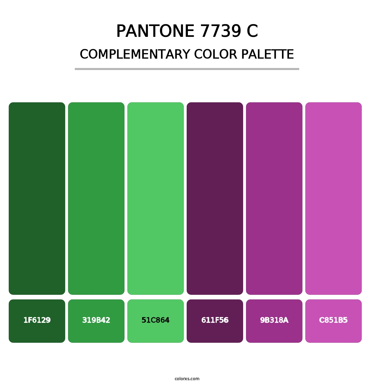PANTONE 7739 C - Complementary Color Palette