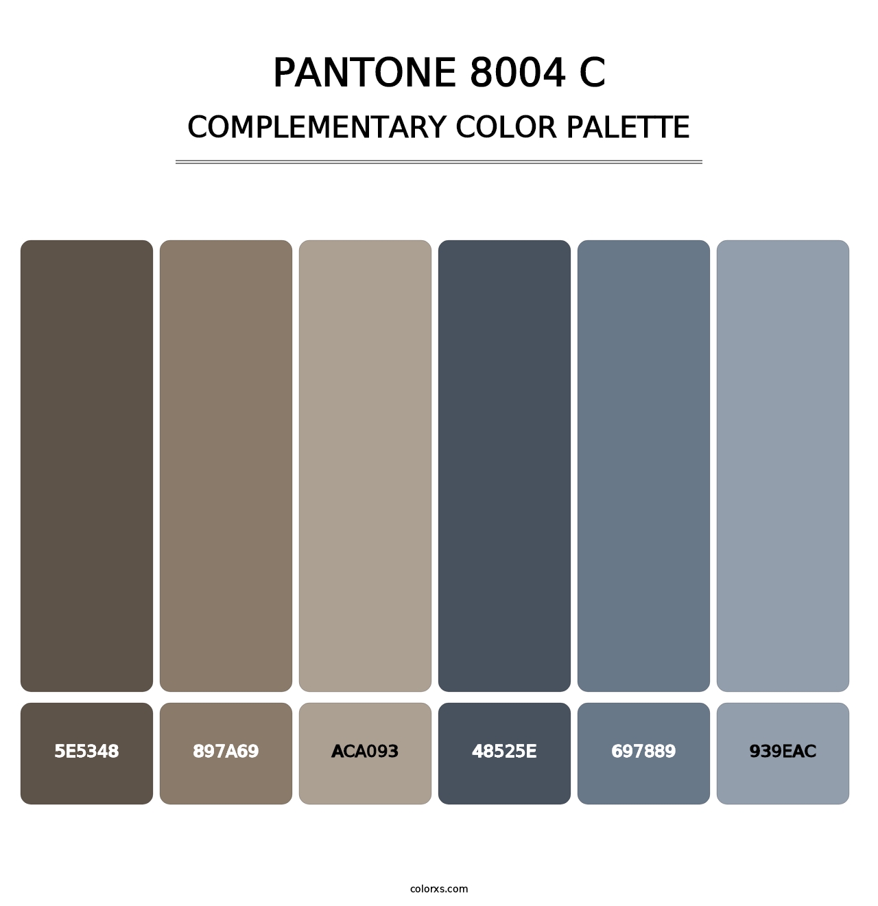 PANTONE 8004 C - Complementary Color Palette