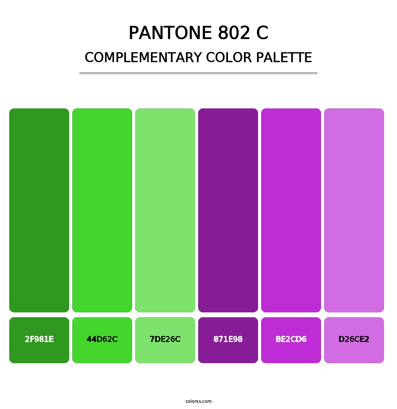 PANTONE 802 C - Complementary Color Palette