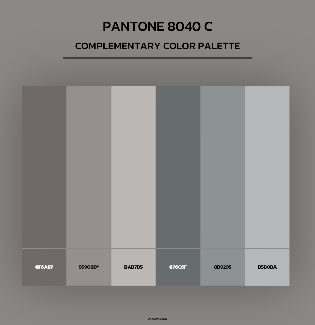 PANTONE 8040 C - Complementary Color Palette