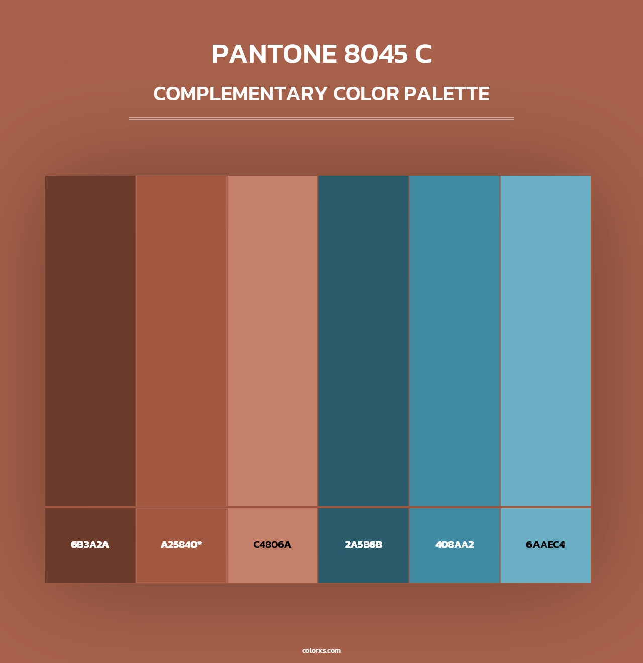 PANTONE 8045 C - Complementary Color Palette