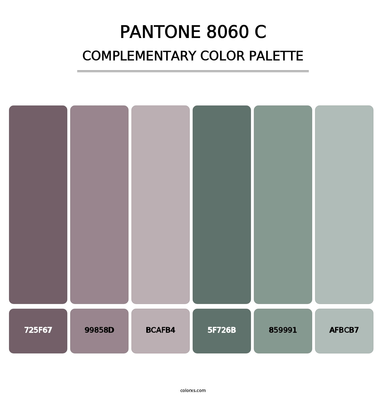 PANTONE 8060 C - Complementary Color Palette