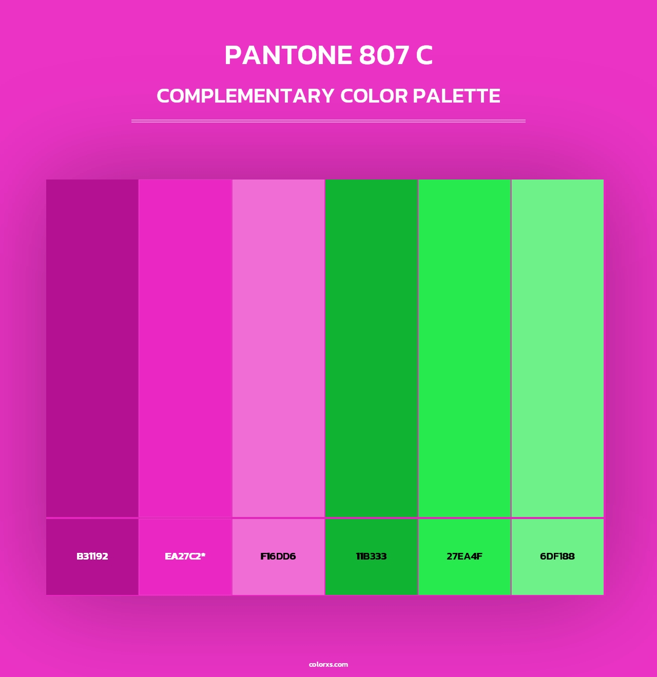 PANTONE 807 C - Complementary Color Palette