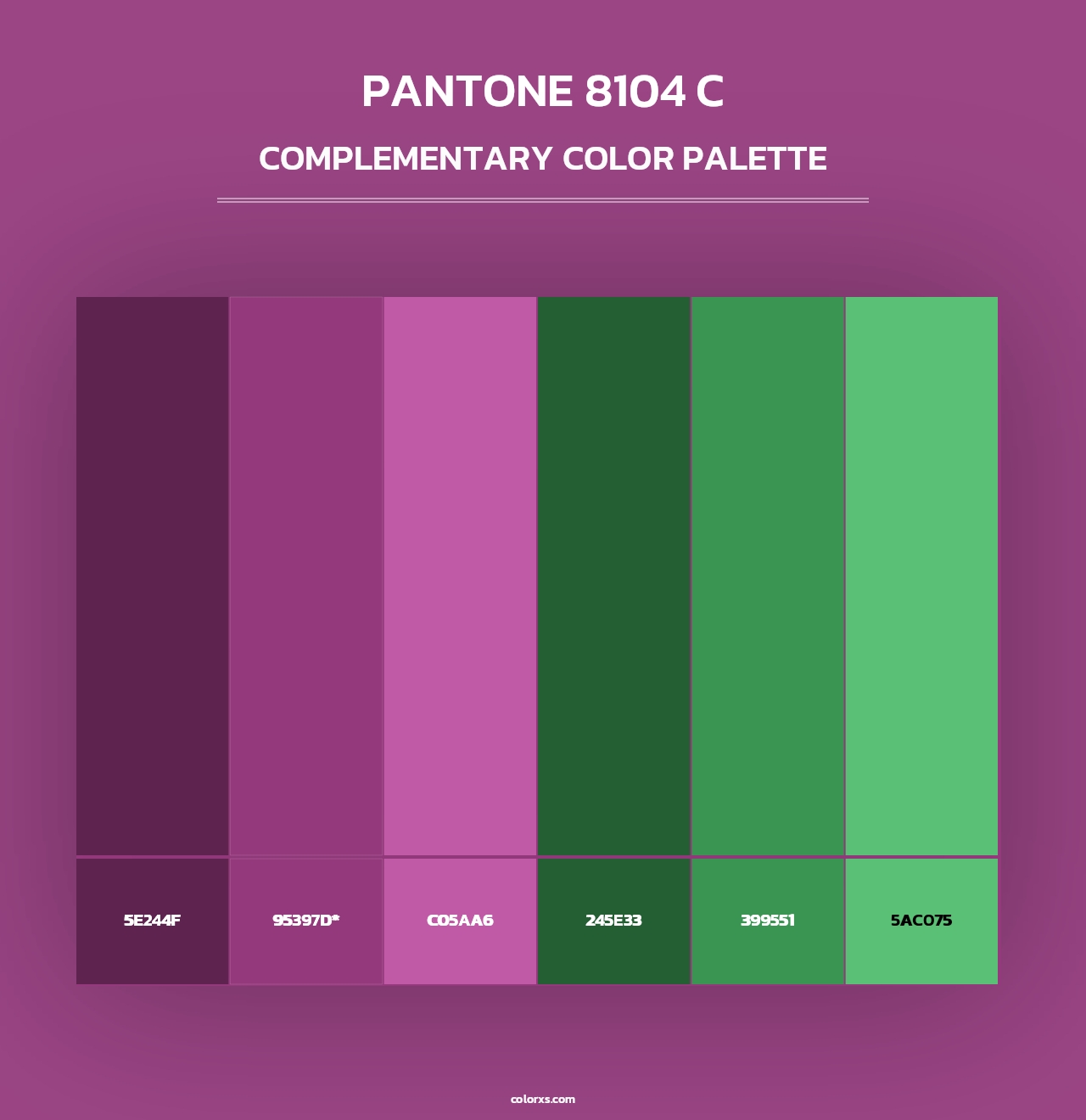 PANTONE 8104 C - Complementary Color Palette