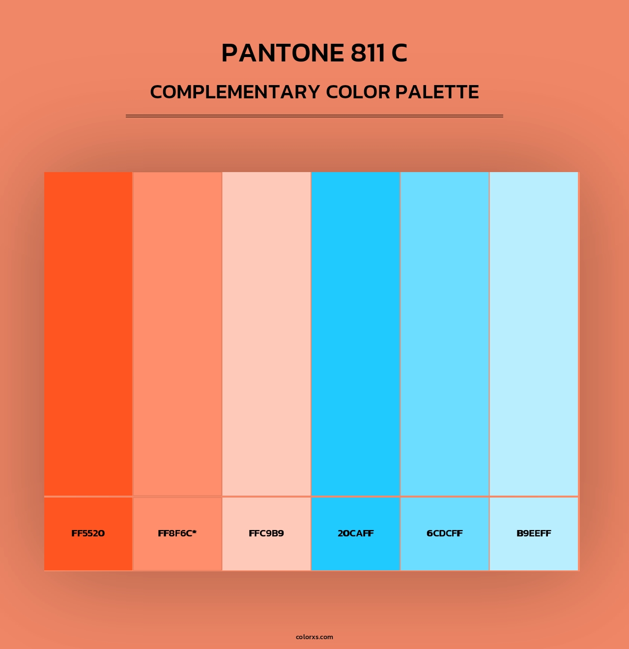 PANTONE 811 C - Complementary Color Palette