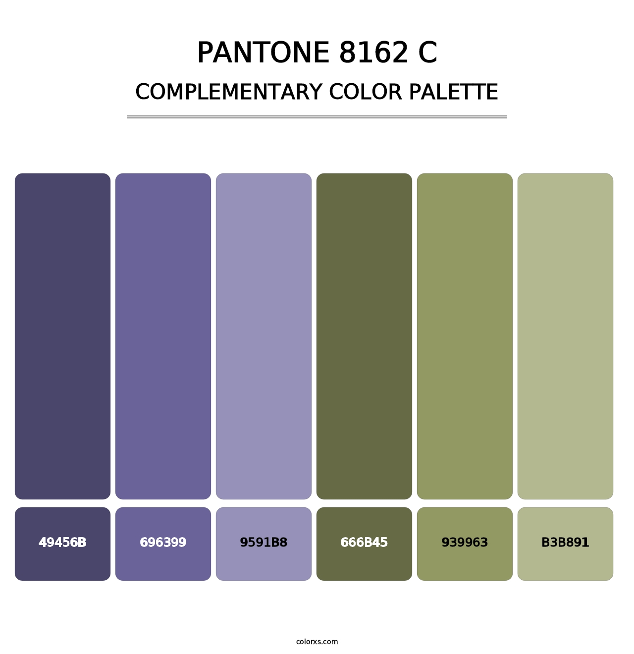 PANTONE 8162 C - Complementary Color Palette