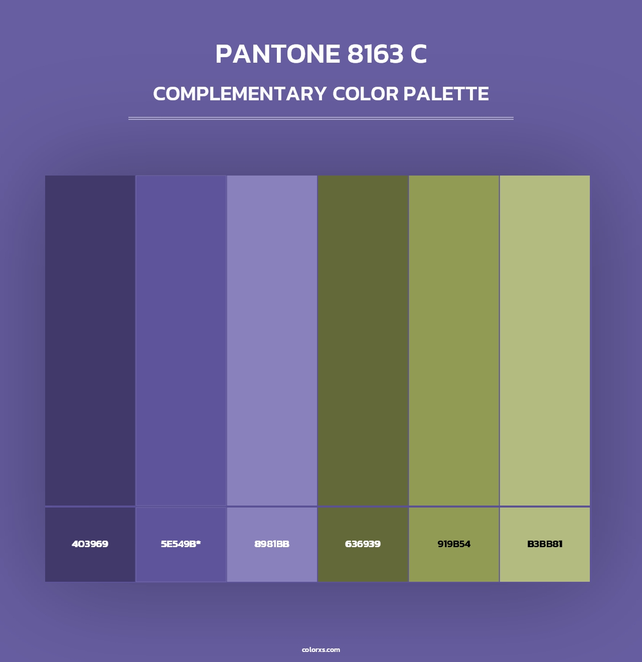 PANTONE 8163 C - Complementary Color Palette