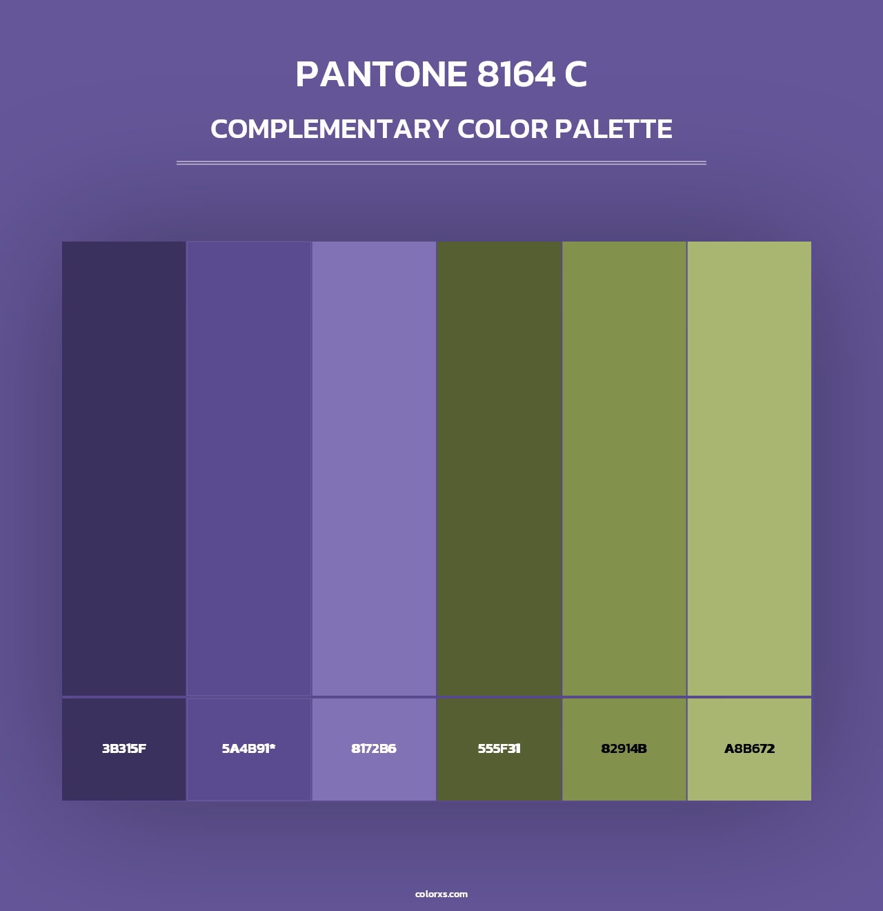 PANTONE 8164 C - Complementary Color Palette