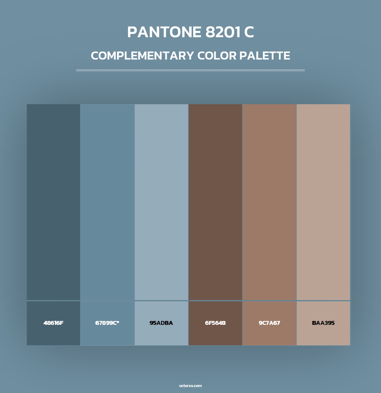 PANTONE 8201 C - Complementary Color Palette