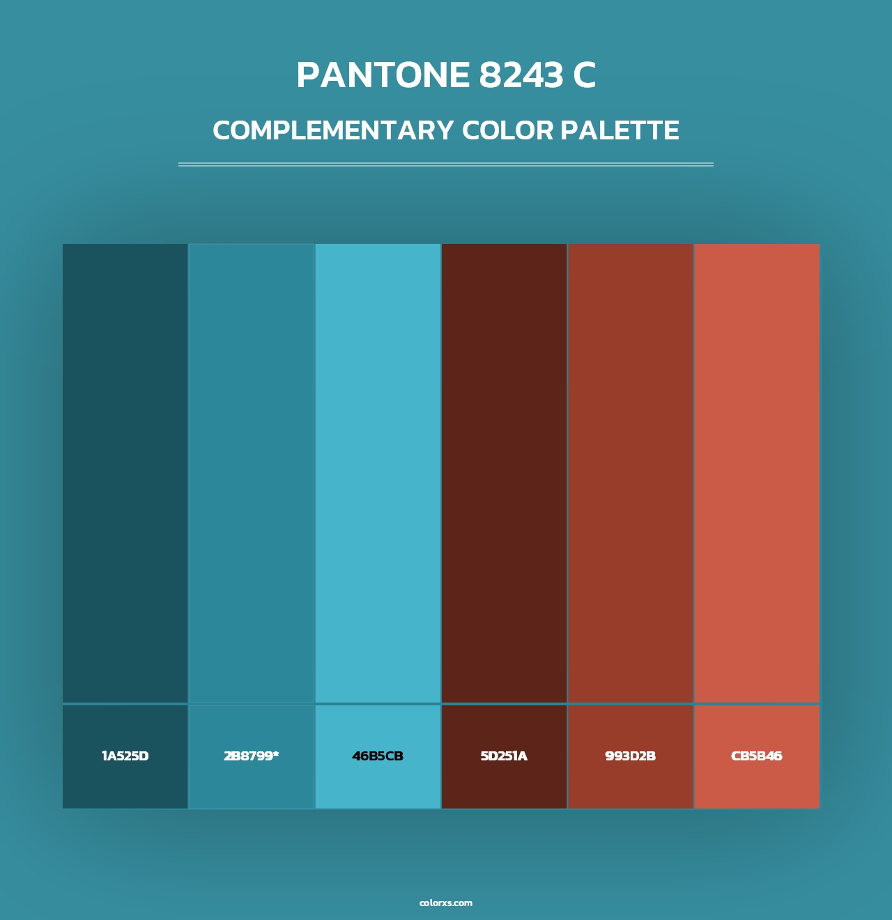 PANTONE 8243 C - Complementary Color Palette