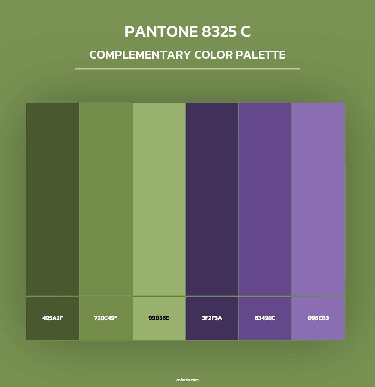 PANTONE 8325 C - Complementary Color Palette
