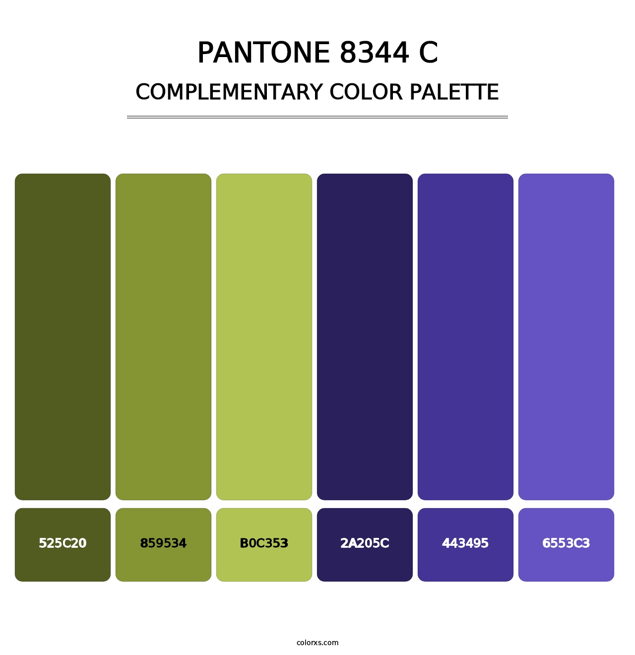 PANTONE 8344 C - Complementary Color Palette