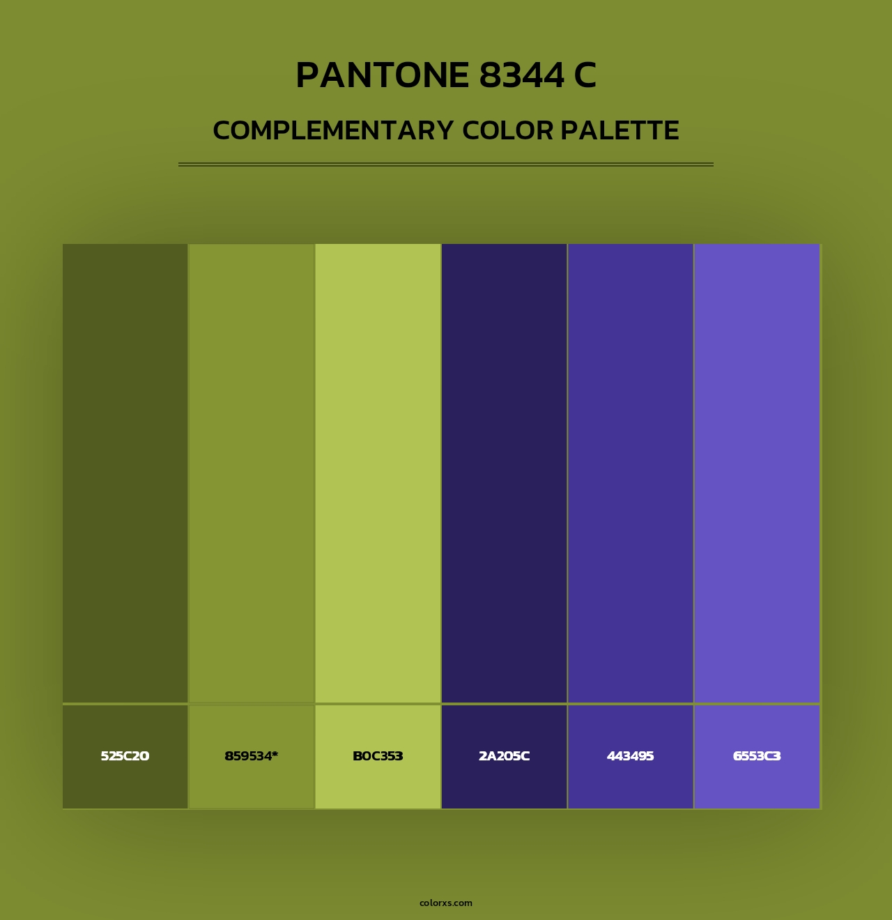 PANTONE 8344 C - Complementary Color Palette