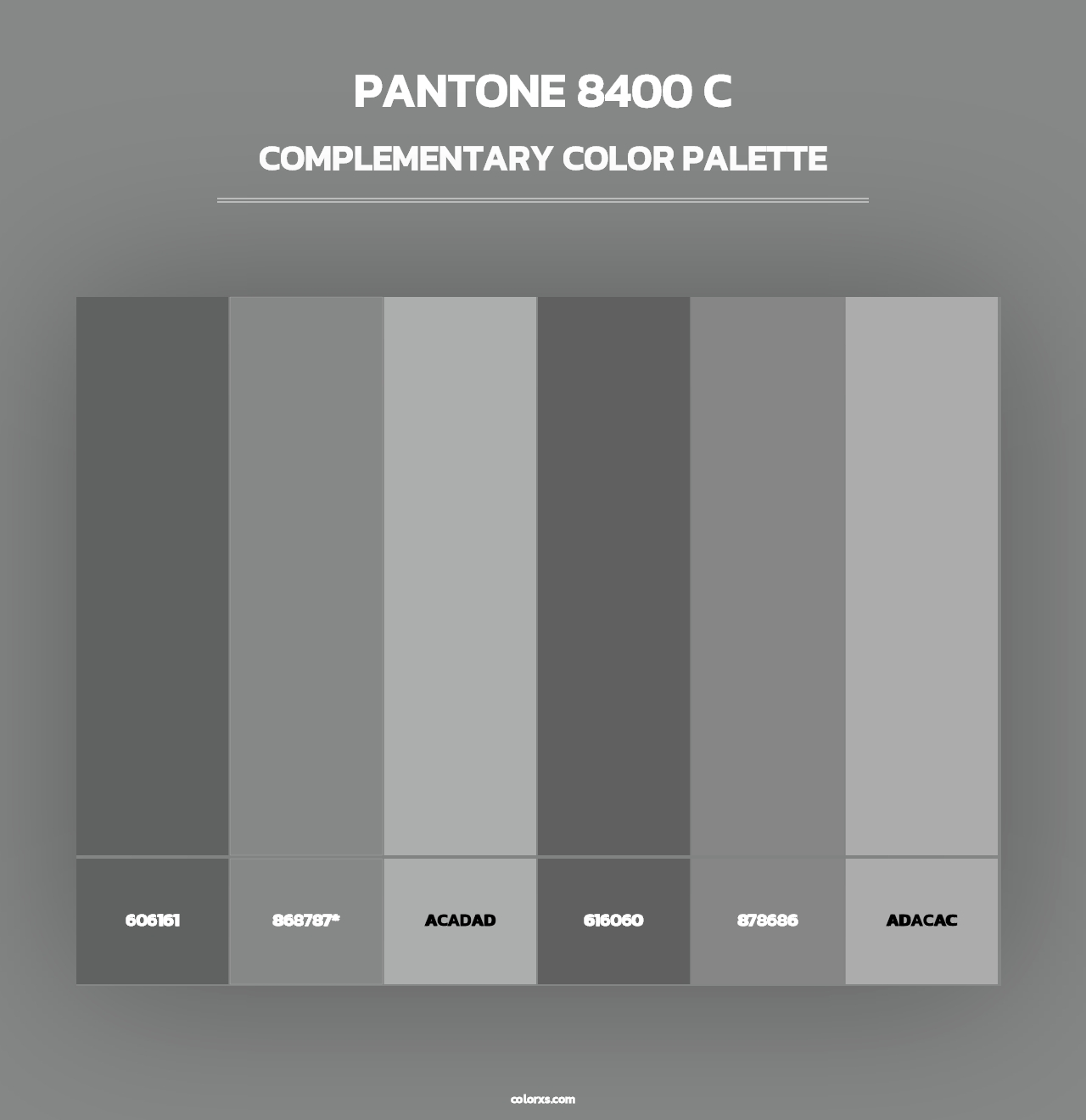 PANTONE 8400 C - Complementary Color Palette