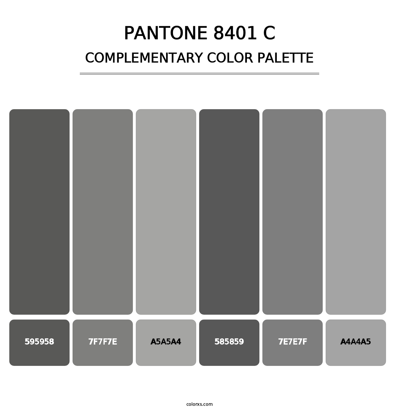 PANTONE 8401 C - Complementary Color Palette