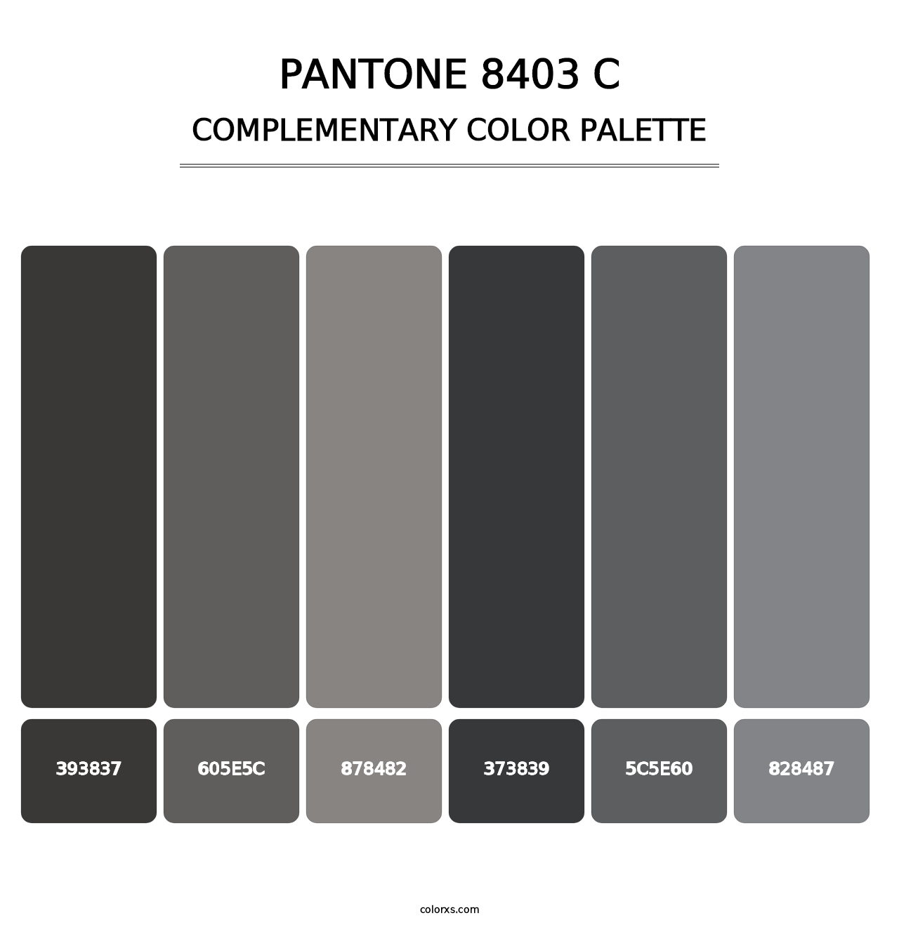 PANTONE 8403 C - Complementary Color Palette