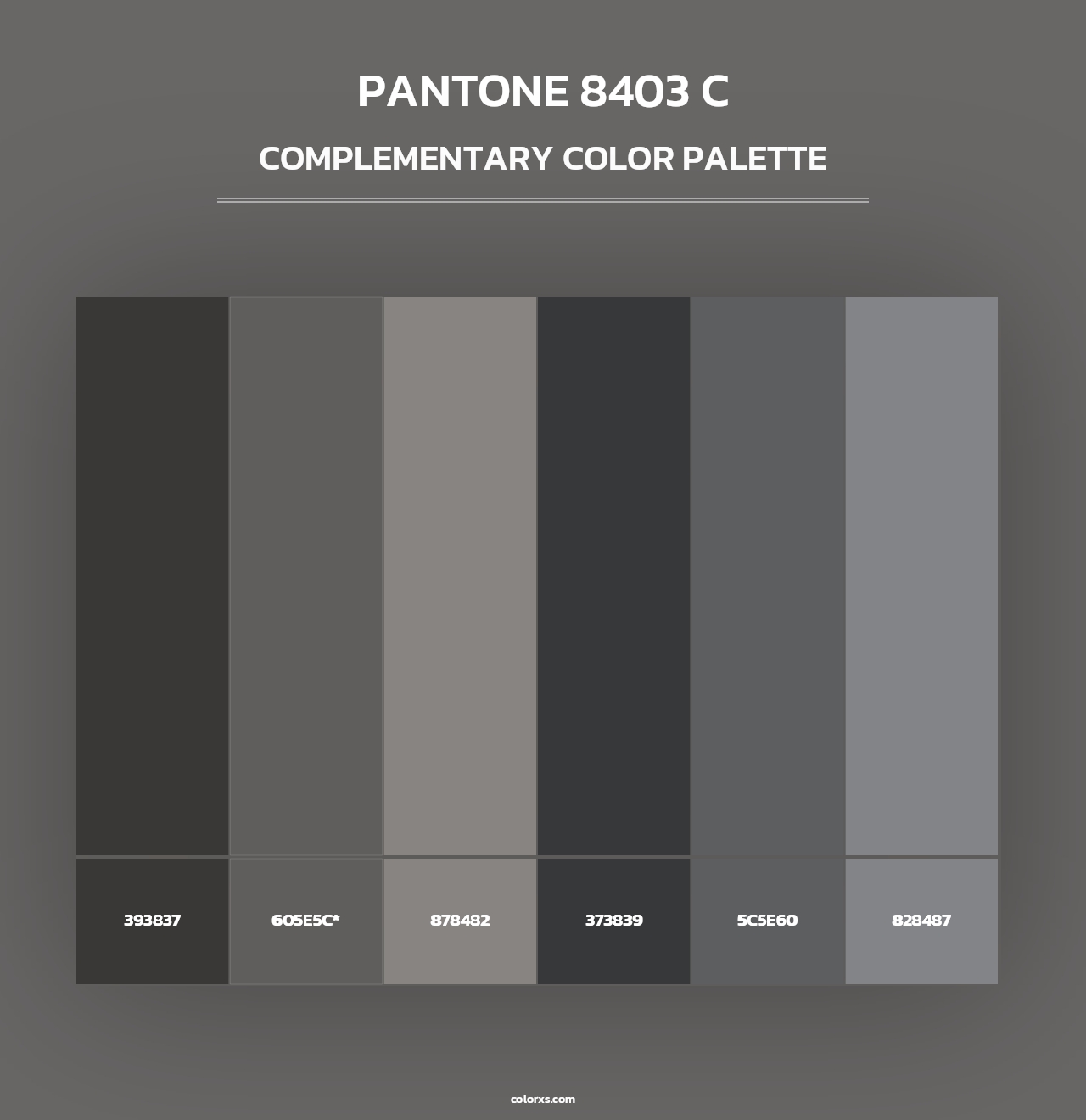 PANTONE 8403 C - Complementary Color Palette