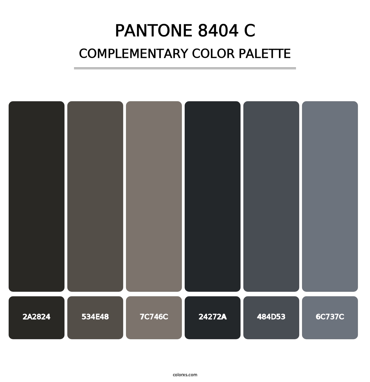 PANTONE 8404 C - Complementary Color Palette