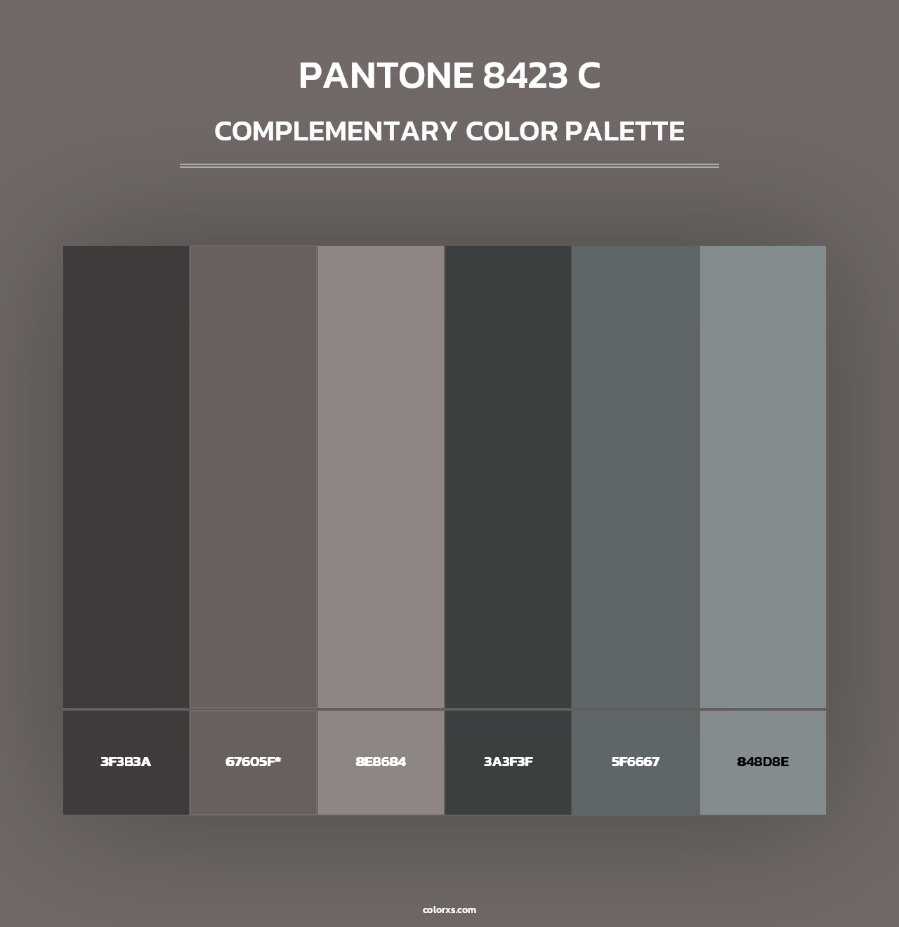 PANTONE 8423 C - Complementary Color Palette