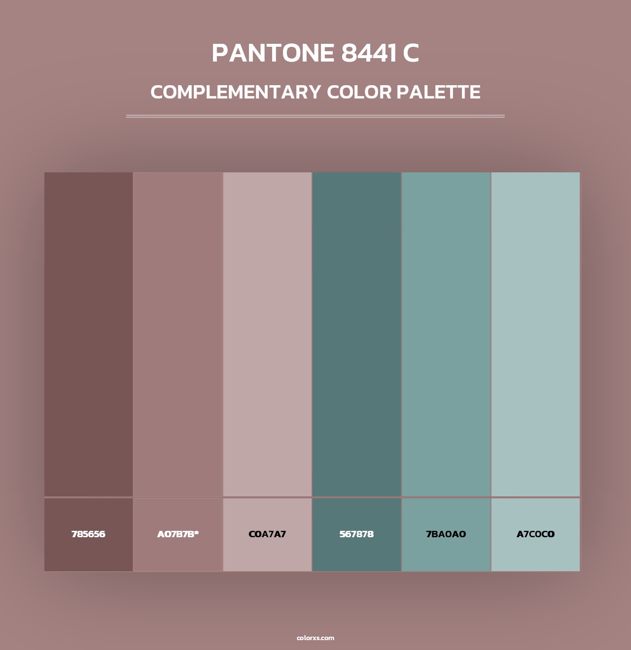PANTONE 8441 C - Complementary Color Palette