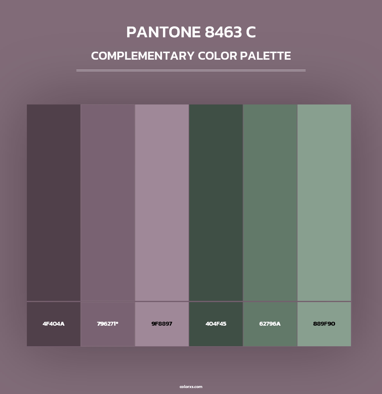 PANTONE 8463 C - Complementary Color Palette