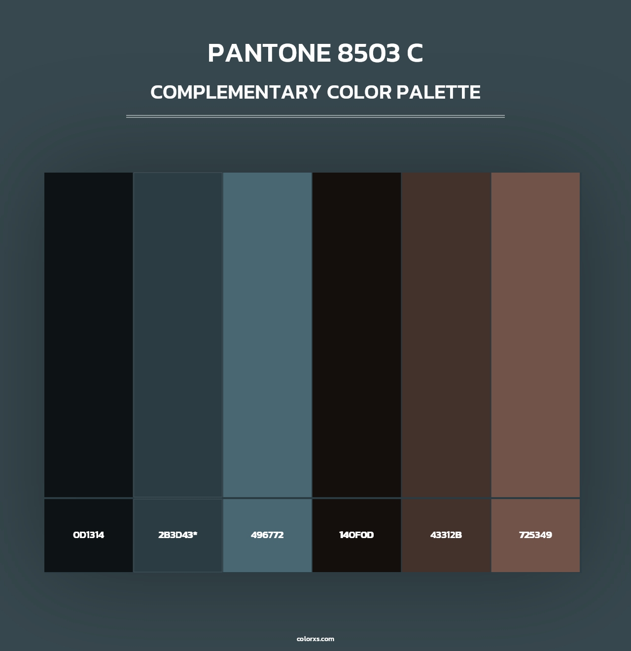 PANTONE 8503 C - Complementary Color Palette