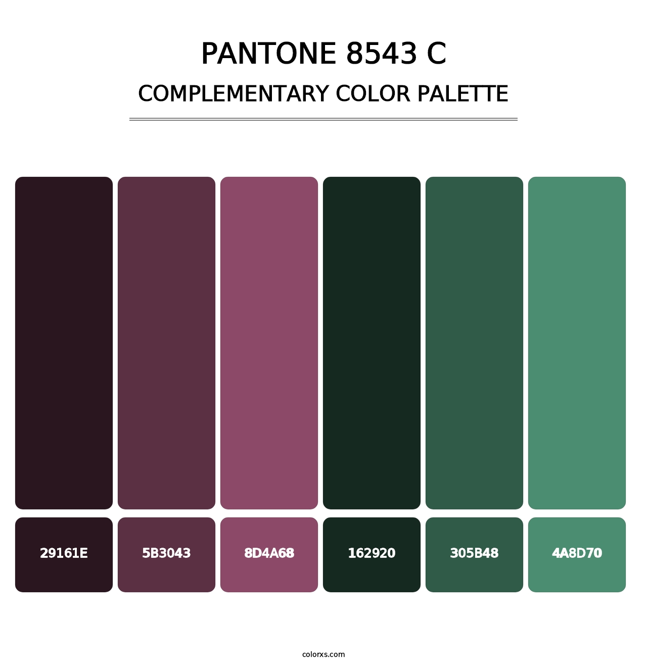 PANTONE 8543 C - Complementary Color Palette