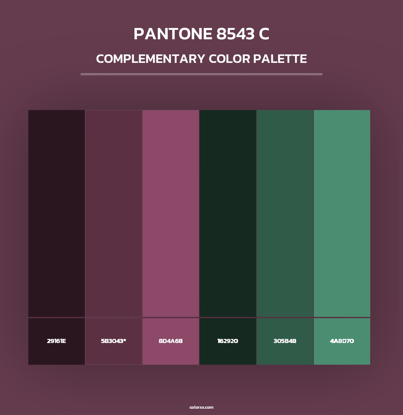 PANTONE 8543 C - Complementary Color Palette