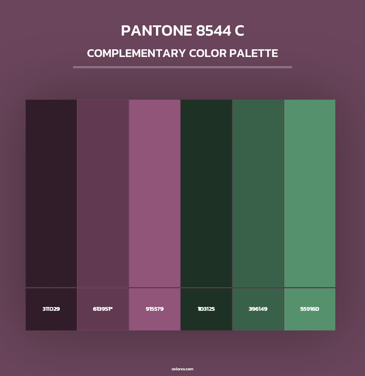 PANTONE 8544 C - Complementary Color Palette