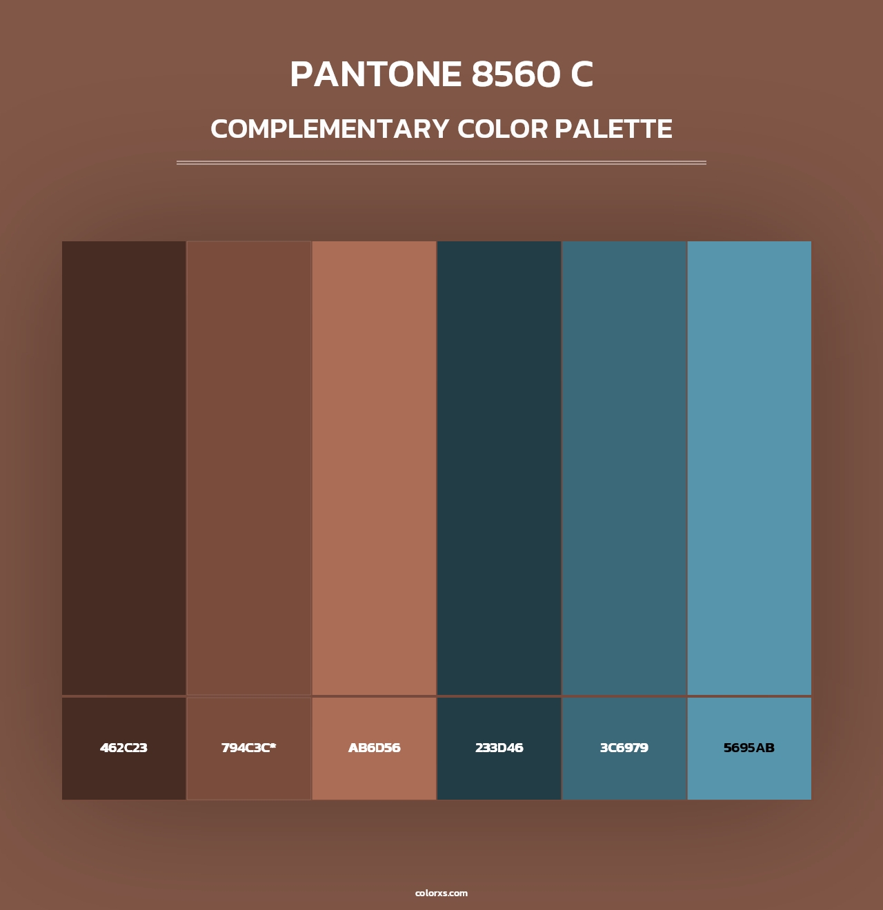 PANTONE 8560 C - Complementary Color Palette