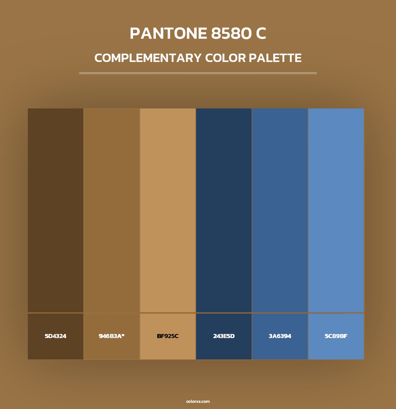 PANTONE 8580 C - Complementary Color Palette