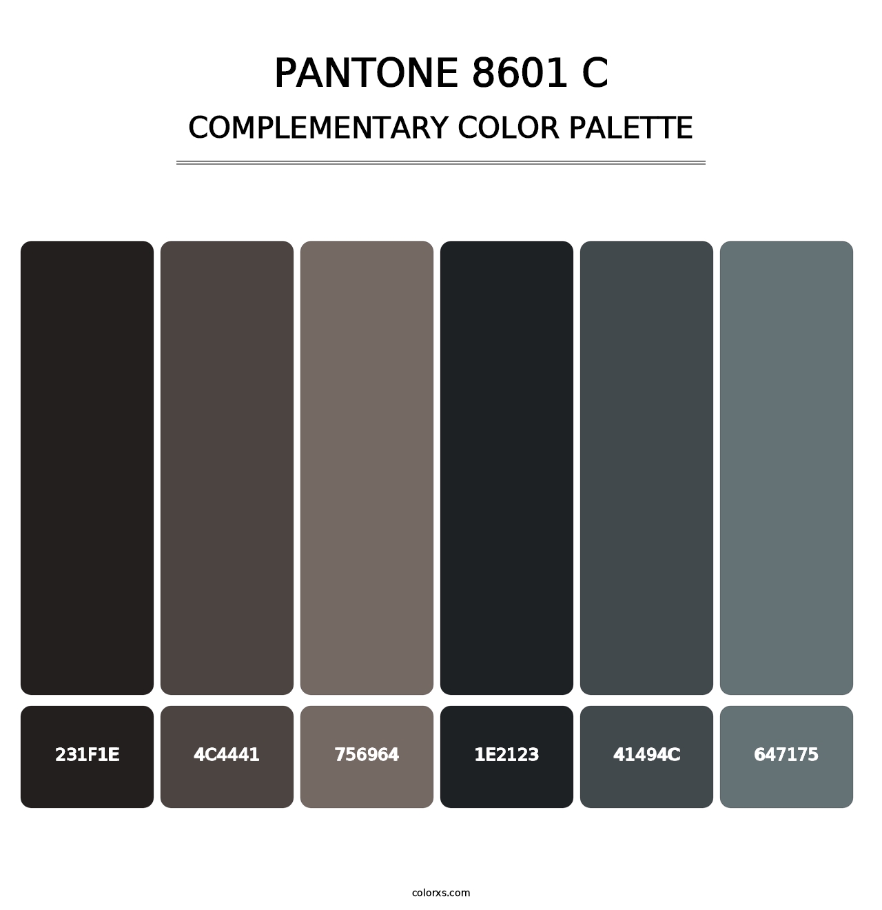 PANTONE 8601 C - Complementary Color Palette
