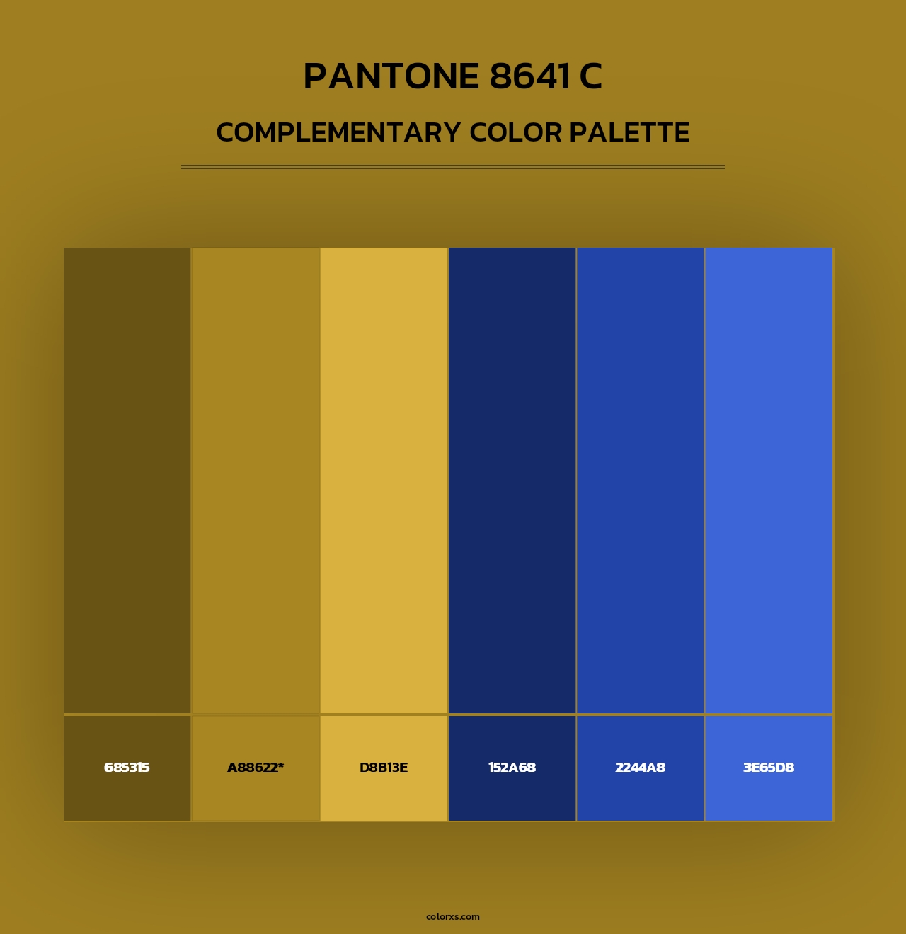 PANTONE 8641 C - Complementary Color Palette