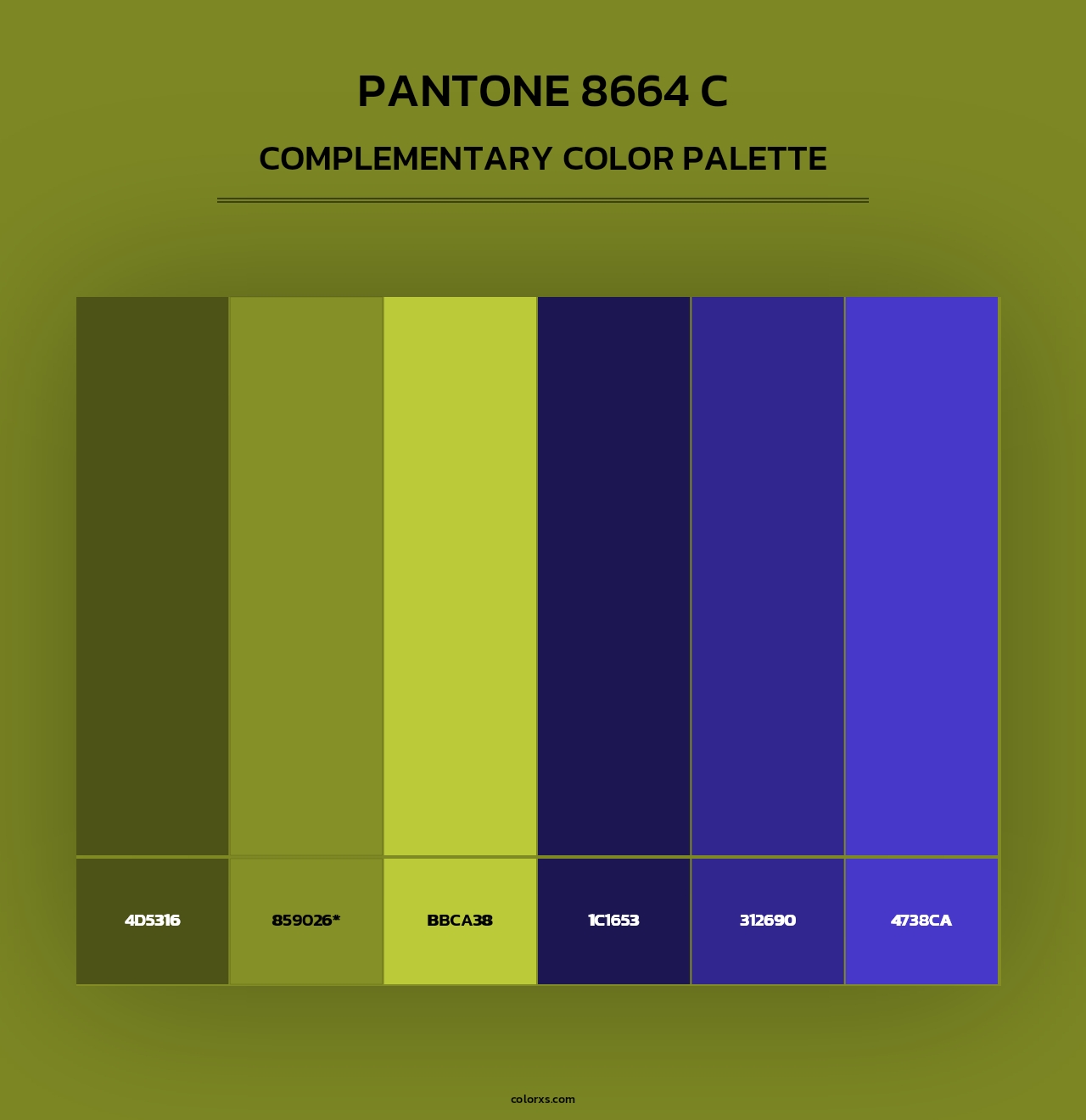 PANTONE 8664 C - Complementary Color Palette