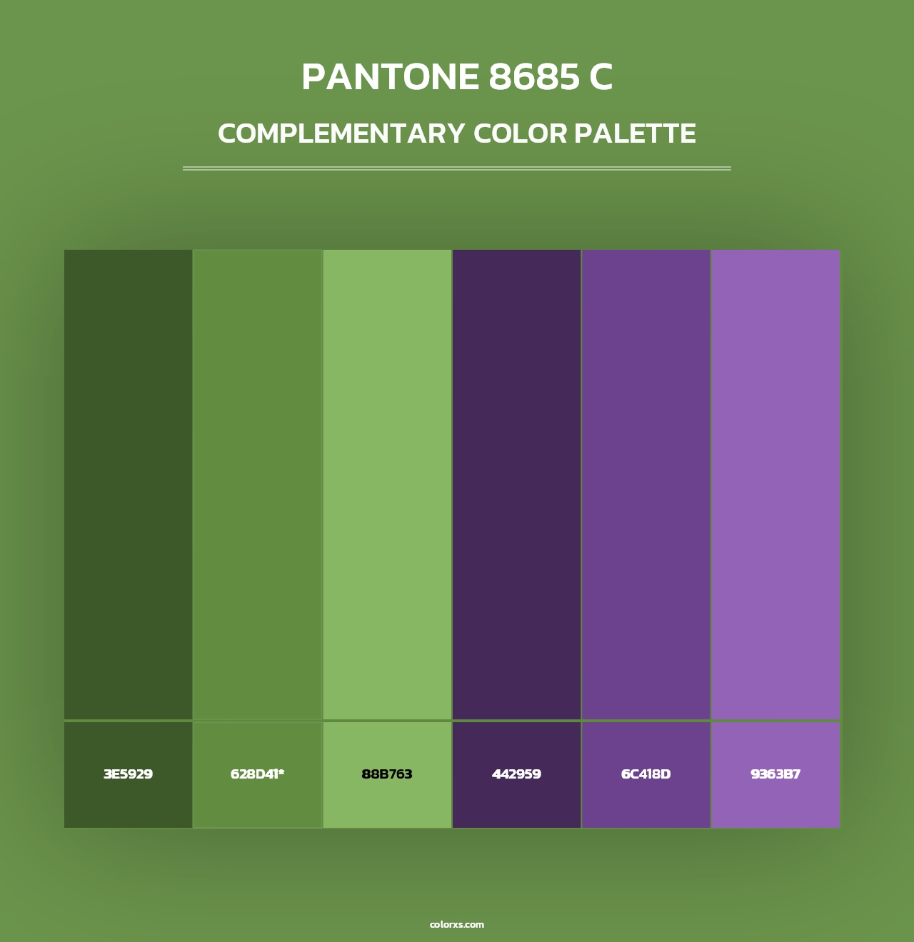 PANTONE 8685 C - Complementary Color Palette