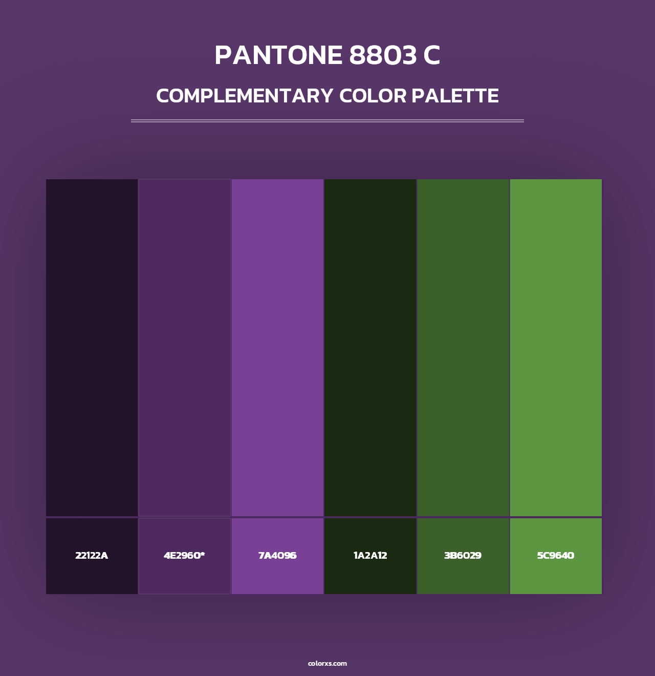PANTONE 8803 C - Complementary Color Palette