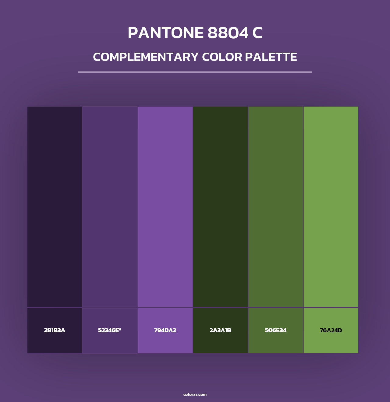PANTONE 8804 C - Complementary Color Palette