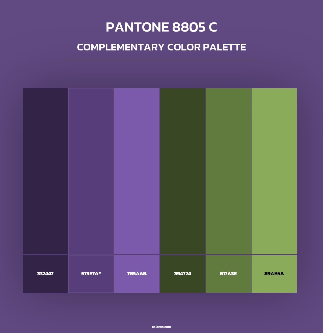 PANTONE 8805 C - Complementary Color Palette