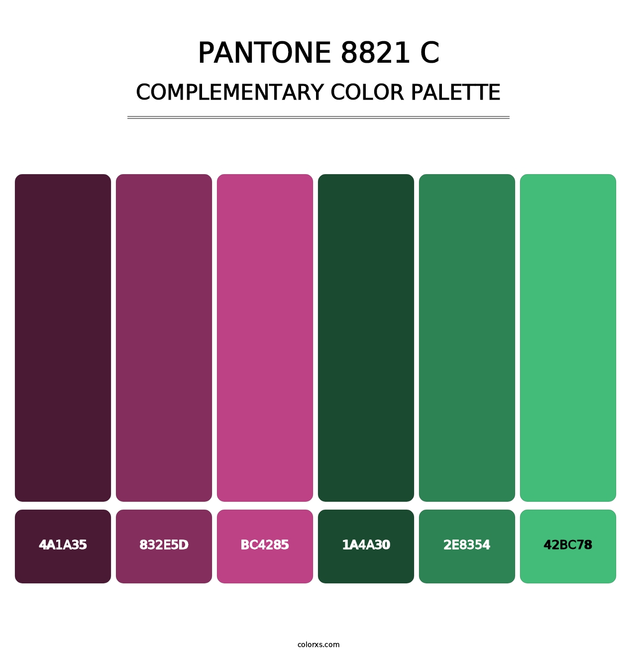 PANTONE 8821 C - Complementary Color Palette