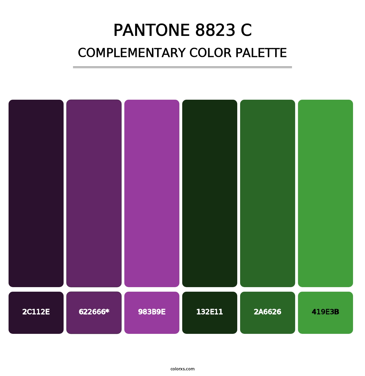 PANTONE 8823 C - Complementary Color Palette