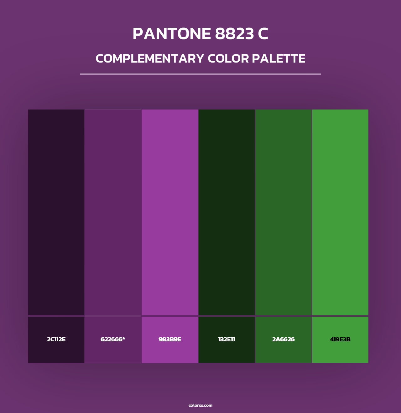 PANTONE 8823 C - Complementary Color Palette
