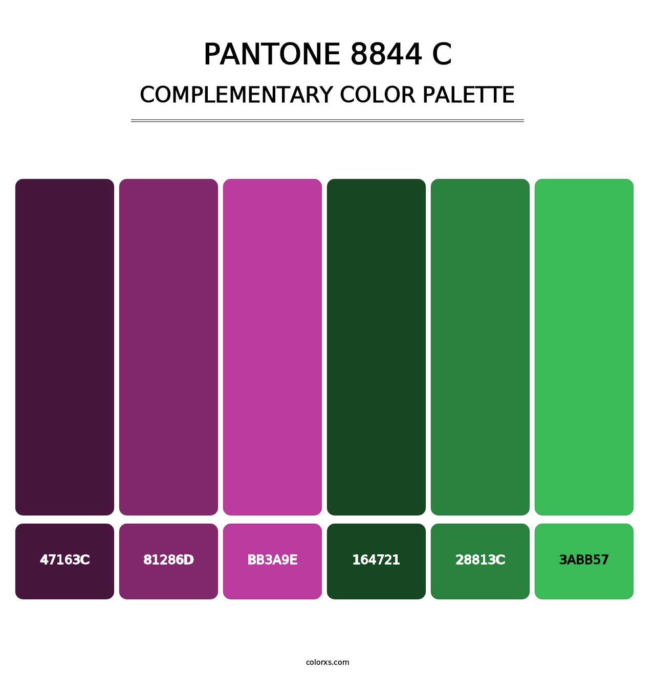 PANTONE 8844 C - Complementary Color Palette