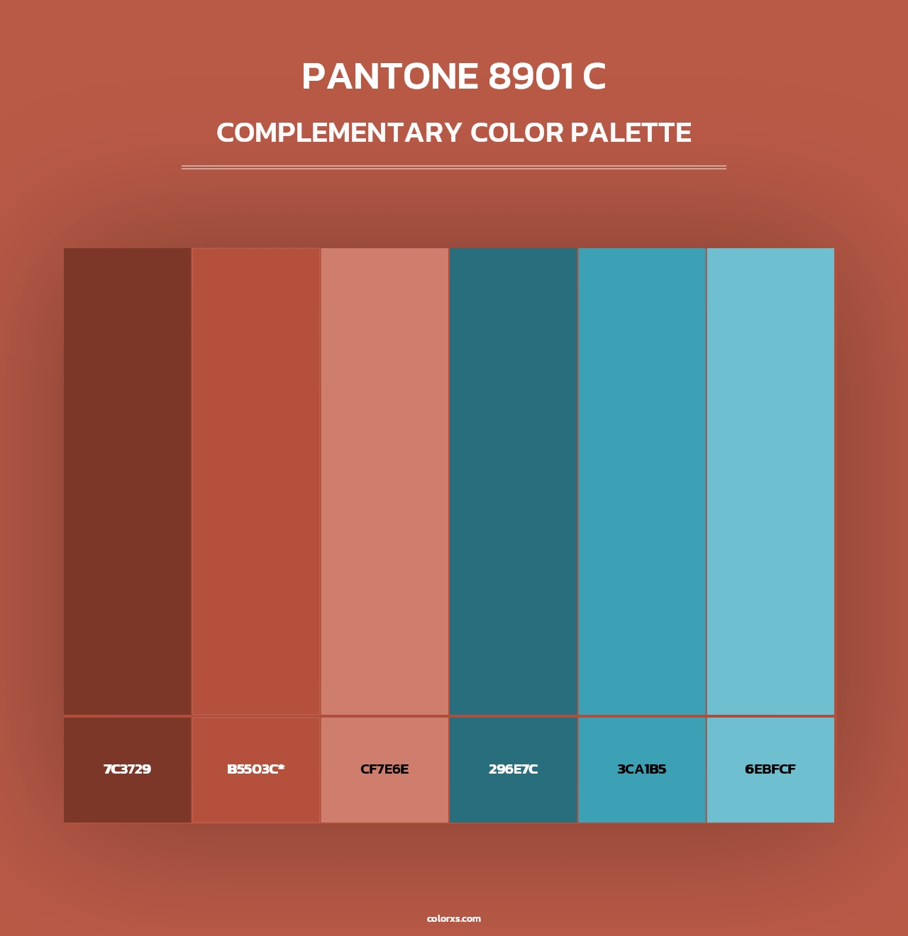 PANTONE 8901 C - Complementary Color Palette